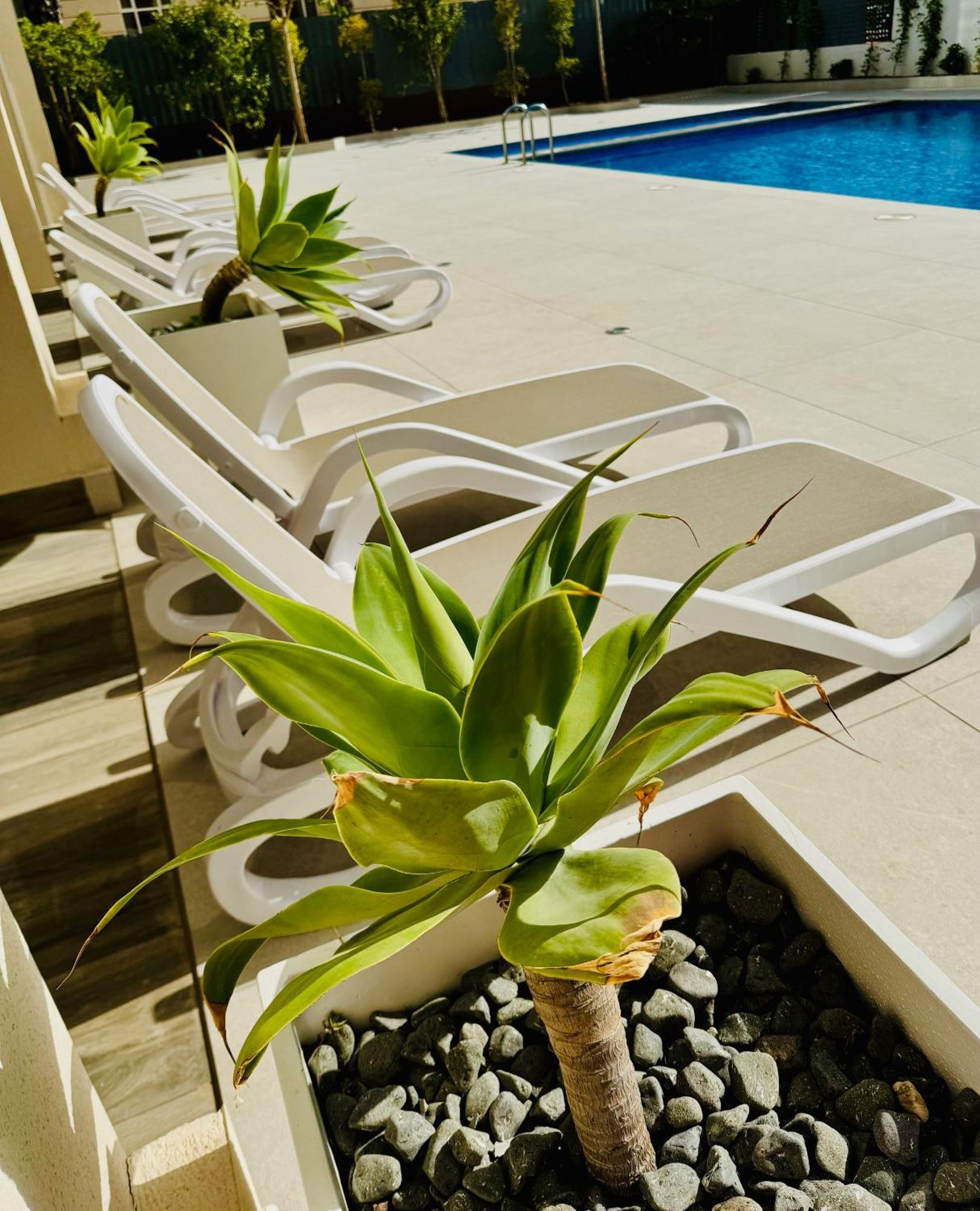 Calpe Beach II - Sea & Pool View Apartment Eksteriør billede
